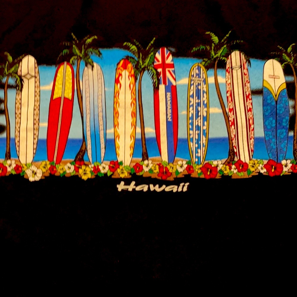 Men’s XL surf tee from Hawaii